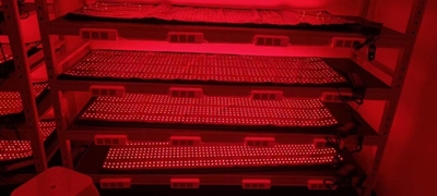 Shenzhen Mei Hui Optoelectronics Co., Ltd linea di produzione del fabbricante