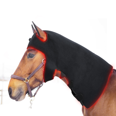 comprare La lampada Pdt del cavallo di terapia della luce infrarossa ha condotto la macchina leggera per rimozione di dolore fabbricazione online