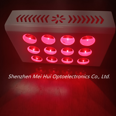 comprare la terapia di luce rossa di 40W PDT lavora l'infiammazione a macchina antinvecchiamento di diminuzione fabbricazione online