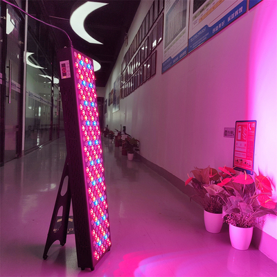 comprare Rimozione dei vasi sanguigni Panelli di terapia con luce infrarossa da 1000 W Personalizzare 7 lunghezze d'onda fabbricazione online