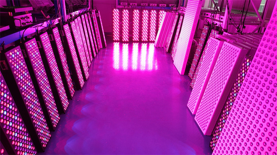 comprare Pannello per terapia a luce rossa a corpo intero ad alta potenza 1000W con intervallo di frequenza 50Hz-60Hz e angolo del fascio di 60° fabbricazione online