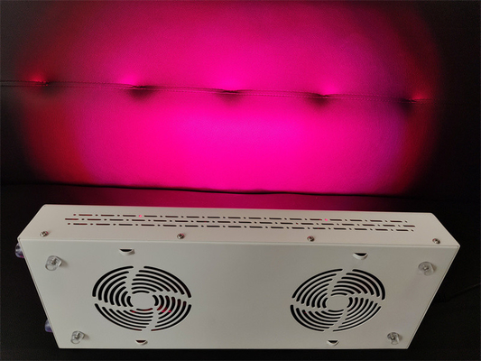 comprare 600w Body Care Dispositivo di terapia della luce rossa Red Nir Spettro personalizzato per pelle impeccabile fabbricazione online