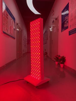 comprare High Power 2000W Red + Near Infrared Light Panel – OEM Factory with Pulse Mode & Brightness Control fabbricazione online