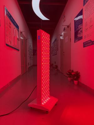 comprare OEM Factory Supply 2000W Red Light Therapy Panel – 630/660/810/830/850nm Wavelength Options fabbricazione online