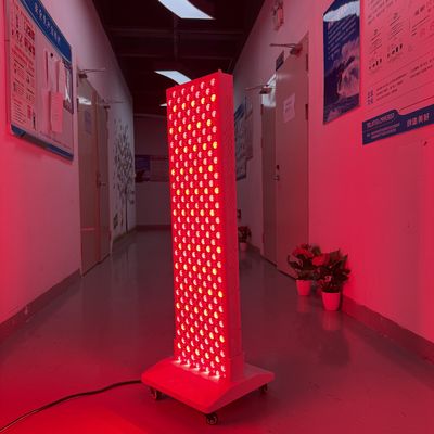comprare Pannelli per tutto il corpo 2000W 5w 660nm 850nm Standing Modern Health Lampada di terapia con luce rossa fabbricazione online