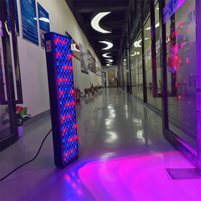 Corpo intero 660 850Nm InfrarossoLusteroterapia con luce bluPanele di terapia con luce rossa Per salone di bellezza