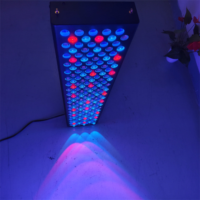 Dispositivi di terapia della luce rossa a lunghezza d'onda personalizzata