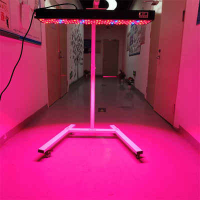 300-6000W Infrarossi PDT Dispositivo di terapia della luce OEM/ODM 8 lunghezze d'onda Modello Uso per tutto il corpo