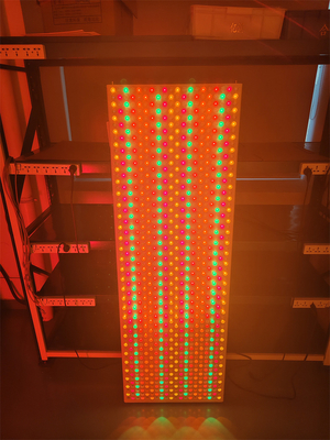 6000w 9 lunghezze d'onda 535 590 610 630 660 810 830 850 1060Nm pannello di luce a led per tutto il corpo
