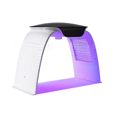 Portatile 7 colori Led Facial Machine Pdt Led Light Therapy Nano Water Spray Phototherapy Beauty Machine con tensione AC110-240V