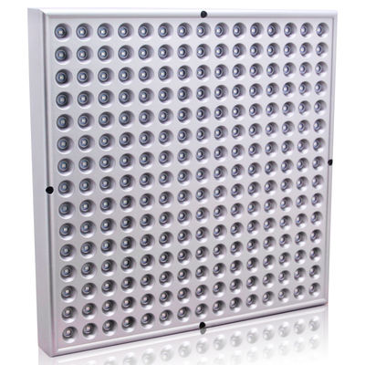 Terapia della luce infrarossa di Protable 45W 660nm 850nm per il fronte dei piedi