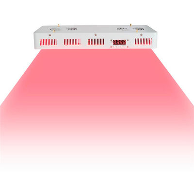 Grado medico 2 in 1 nanometro infrarosso di terapia fisica 660nm 850