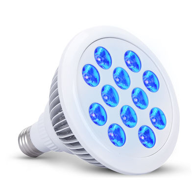 Terapia leggera blu medica neonatale di itterizia 660nm 850nm a casa