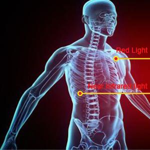 lega di alluminio del dispositivo di terapia della luce di vicino infrarosso LED di Ues della casa 600W 0
