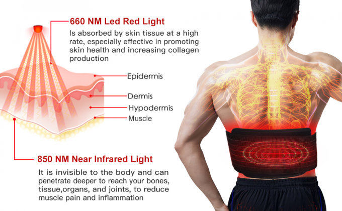 Cinghia dell'involucro del cuscinetto di corpo della luce infrarossa della macchina di terapia della luce di perdita di peso 850nm LED 0