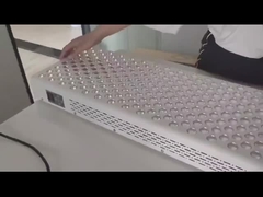 600W pannello di terapia della luce rossa