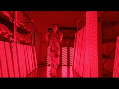 Pannello di terapia a luce rossa da 3000w