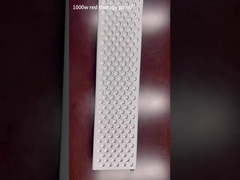 pannello di terapia di luce rossa 1000W