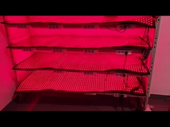 Dispositivi di perdita di peso a LED personalizzati