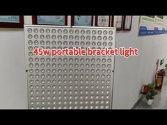 Nessuna restrizione di posizione Lampada di terapia con luce infrarossa 45W 660nm 850nm