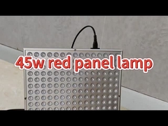 Medica approvata 50W anti-invecchiamento terapia di luce infrarossa per il mal di schiena