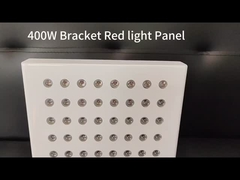 Terapia con luce rossa portatile da 300w Bianco Grigio Laser anti-invecchiamento a basso livello