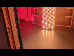 Full Body 6000w Infrared LED Light Therapy Light Machine per la pelle