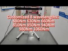 660nm 850nm 1000w Terapia luminosa a LED a corpo intero uso domestico commerciale